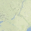 polyommatus daphnis map s2024